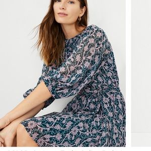 Floral Belted Flare Dress